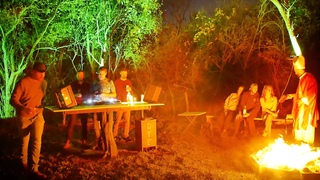Volen Sentir, Gorje Hewek, Stan Tone // Organic House Forest Party
