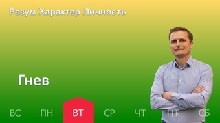Гнев |  | Разум Характер Личность - День за днем