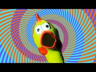 CRAZY RUBBER CHICKEN!
