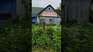 Горный посёлок УЗК, Краснодарский край, Туапсинский район. Как вам природа?