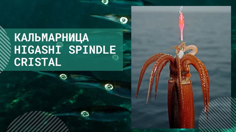 Новинка Кальмарница HIGASHI Spindle