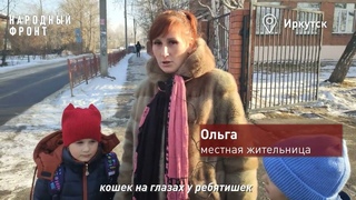 Бродячие собаки напали на 16-летнюю школьницу в Иркутске
