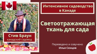 Зачем в интенсивном саду светоотражающая ткань (Стив Браун, Канада)