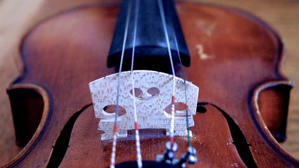 Daniel Hoffman Double String Violin Doina (klezmer