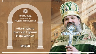 ПРОПОВЕДЬ: «Нам нужно войти в Горний Иерусалим» (после литургии )