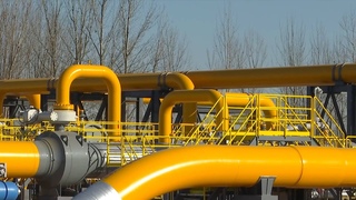 New section of China-Russia east-route natural gas pipeline put into use