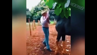 When a horse gets angry