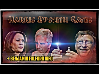 Dunkelstes Geheimnis der Harris-Kampangne enthllt / Half Gates beim Wahlbetrug in den USA